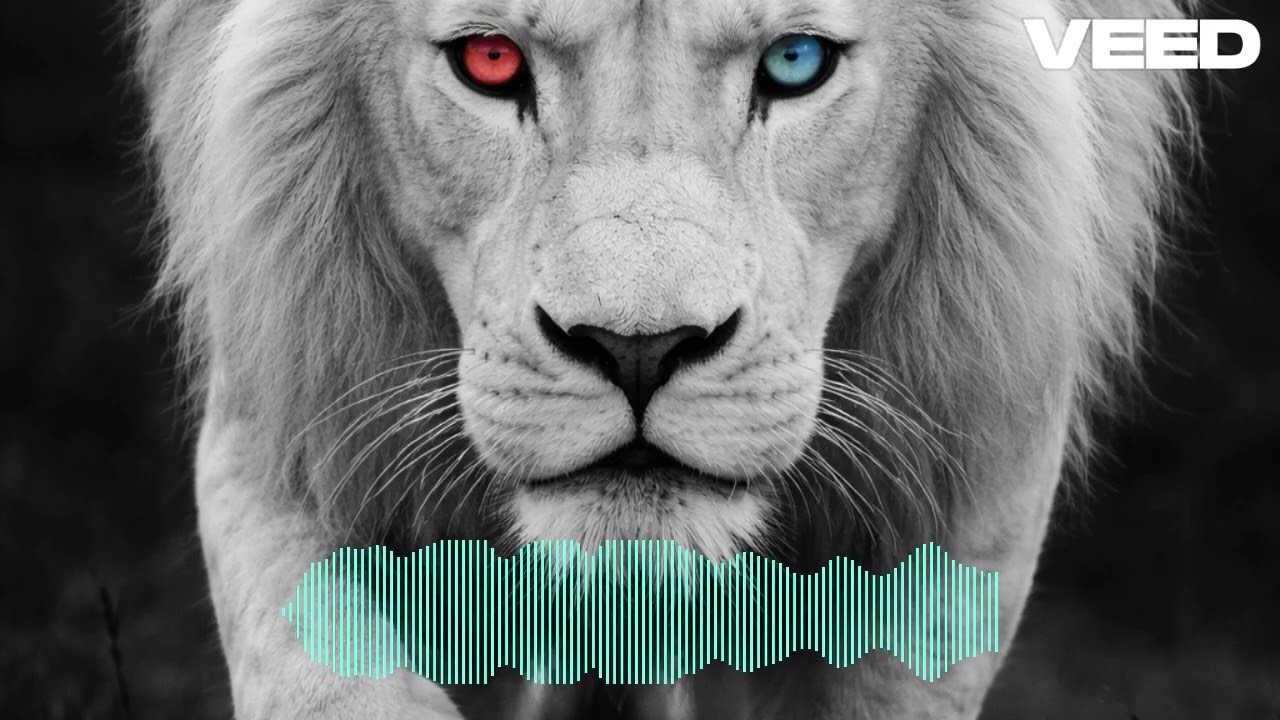 Epic Dark Trap Beat 2026 &ndash; Lion Power | Aggressive Rap Type Beat