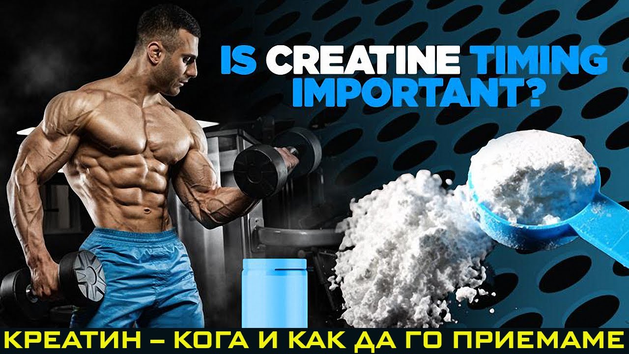 КРЕАТИН (CREATINE) – МЕХАНИЗЪМ НА ДЕЙСТВИЕ И КАК ДА ГО ПРИЕМАМЕ