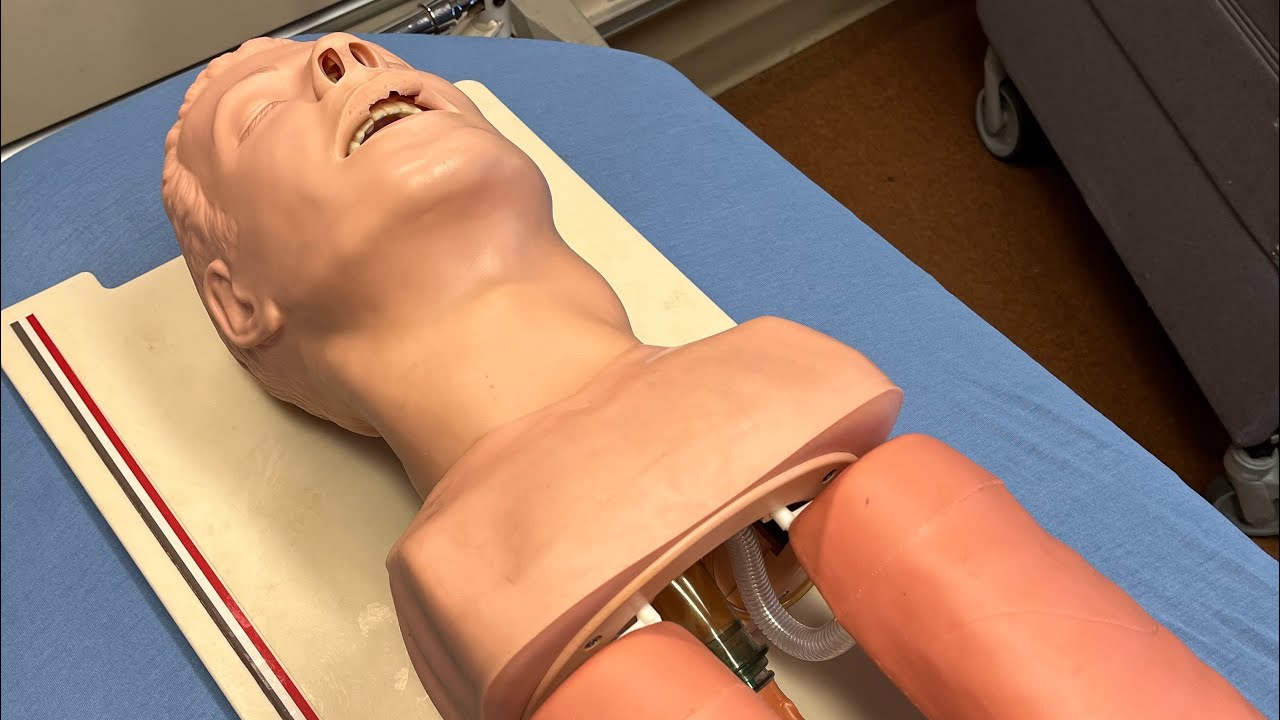 Laerdal Airway Trainer Head Skin and Airway replacement