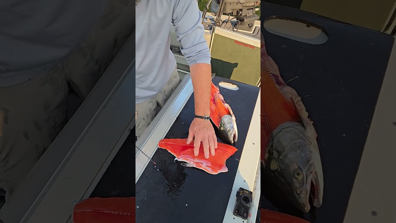 Fillet a salmon, the quickest and safest way!