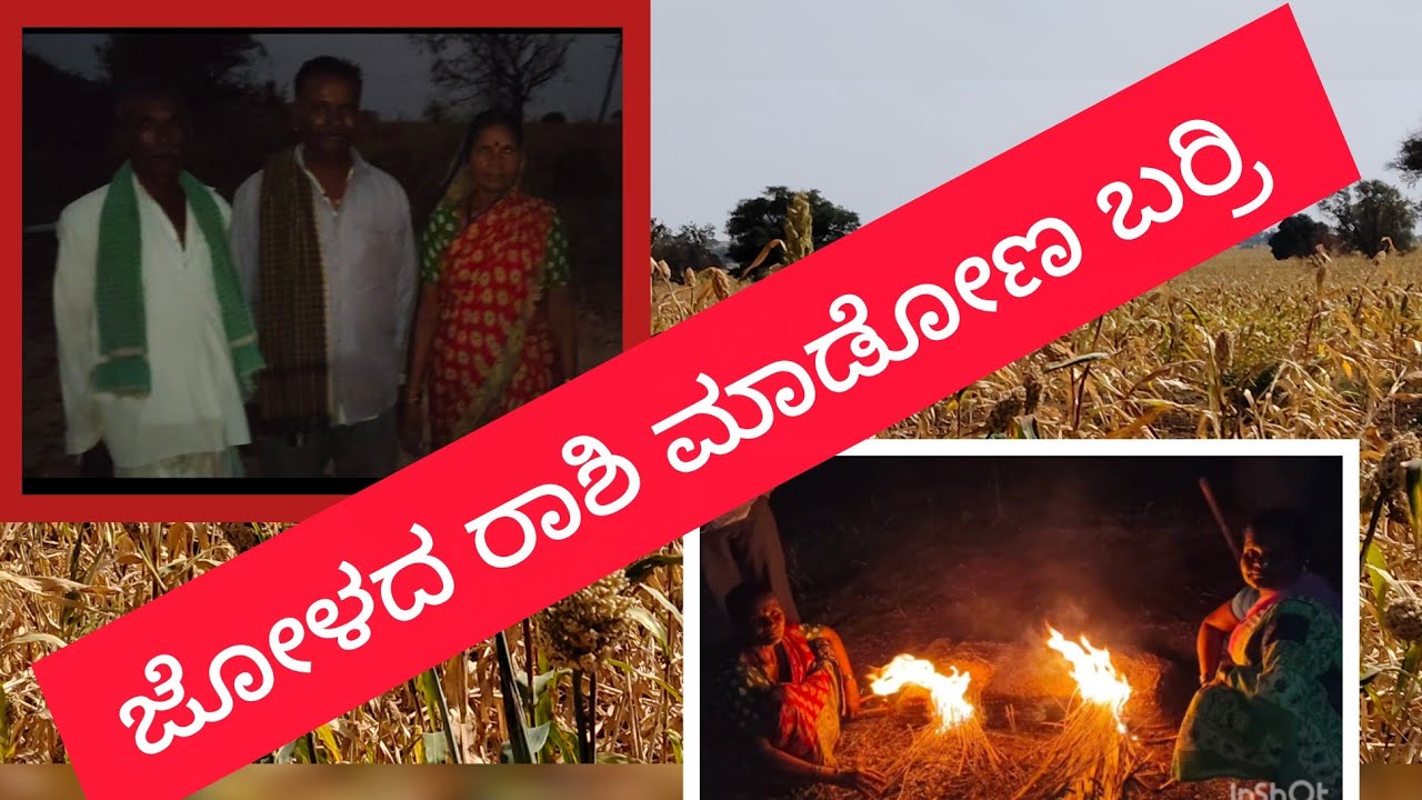 ಪ್ರತಿವರ್ಷ ದೇವರಂಗ  ಬಂದ ರಾಶಿ ಮಾಡಿಕೊಡುತ್ತಾರೆ #farming 