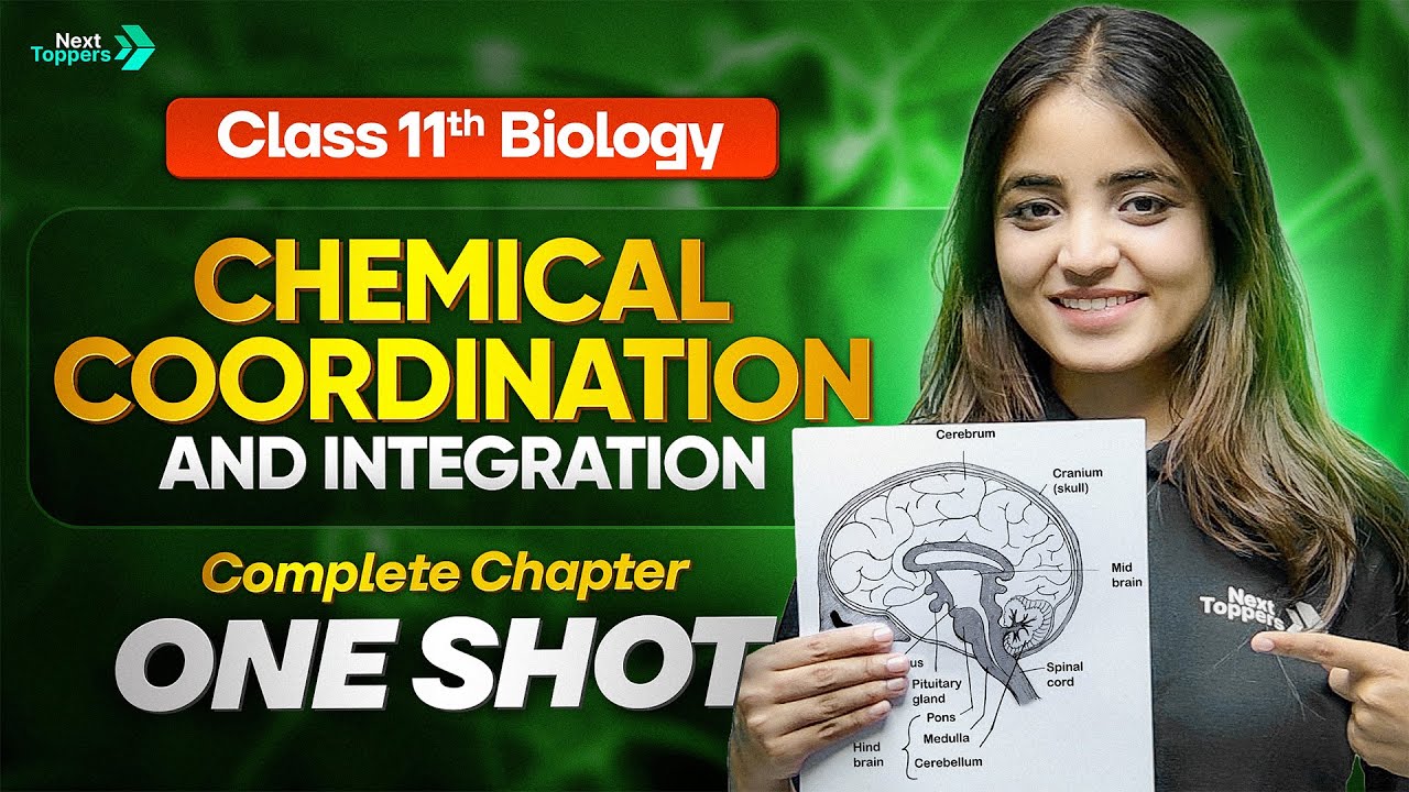 Chemical Coordination and Integration Class 11 One Shot  | 11th Biology Chapter 19 | CBSE 2026