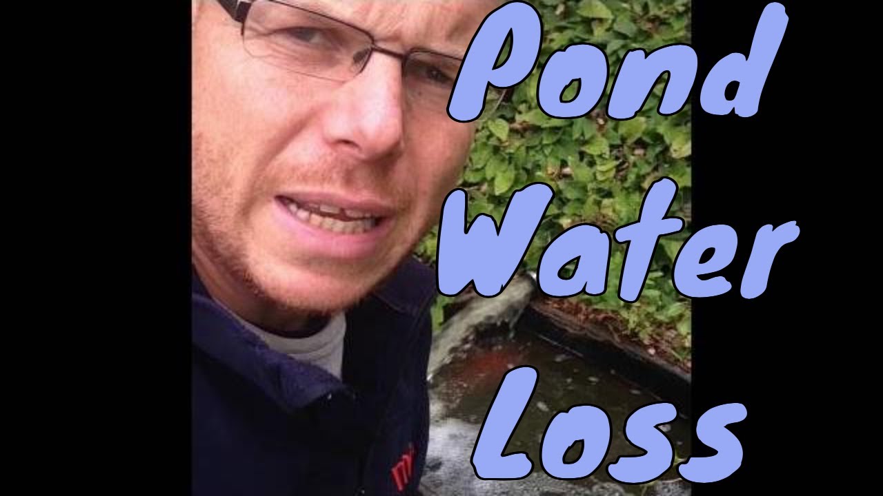Garden Pond Water Loss | Any Pond Limited | UK