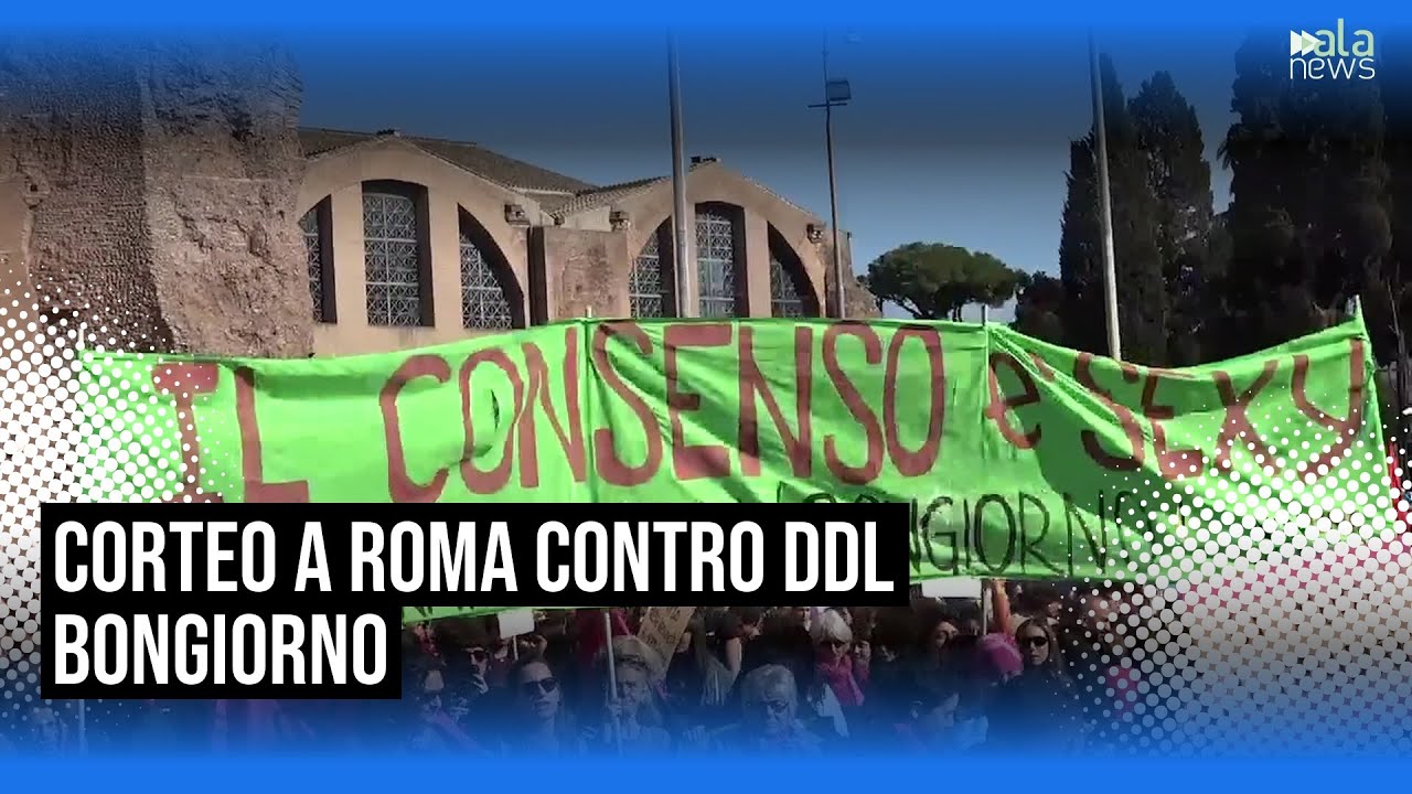 Corteo a Roma contro il Ddl Bongiorno: 