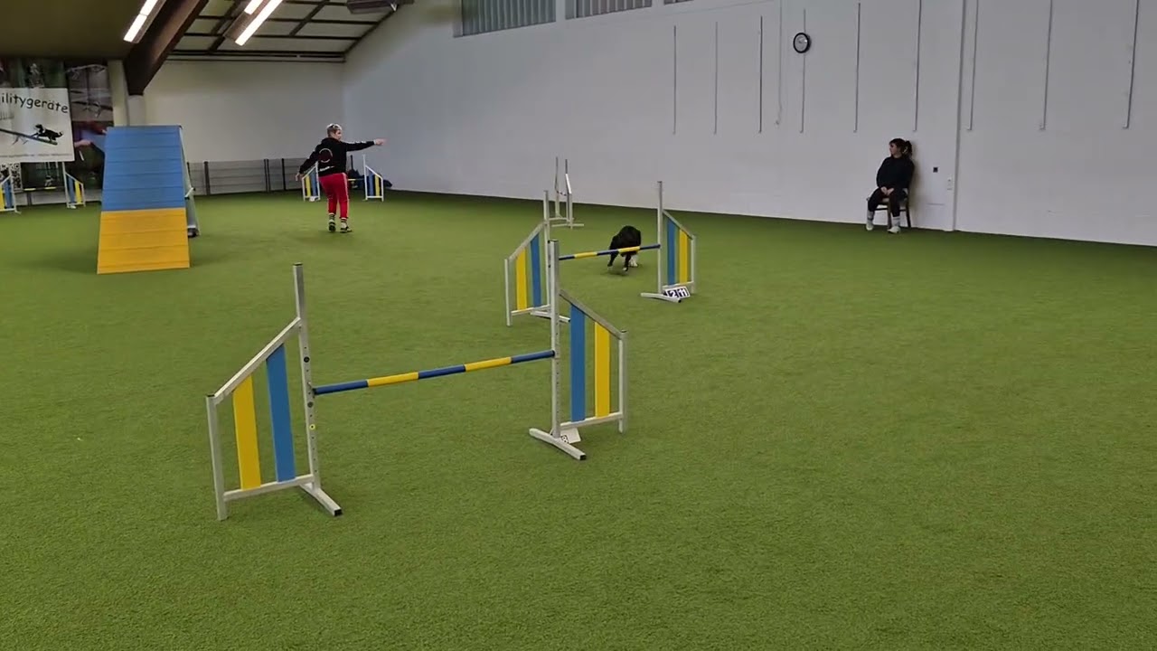 Turnier Vöhringen, 01 02 2026, Jim, A3, Stegfehler mit Verwirrungen, Platz 2
