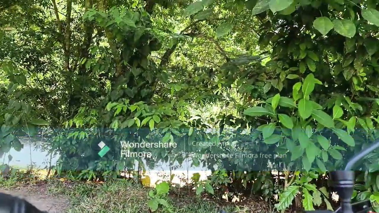 Acampando en el Cañón Rio Claro  ( Medellín  -Rio Claro, Antioquia)