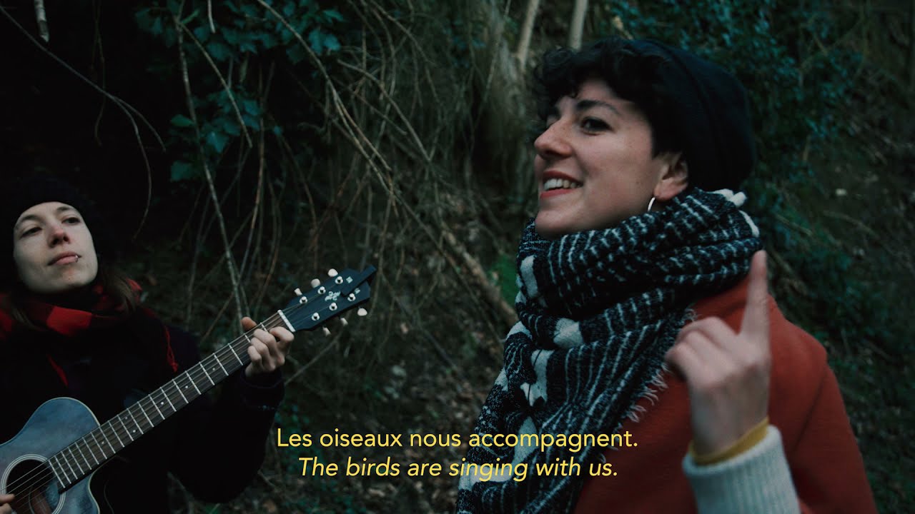 A musical walk in the woods with MoHa (episode 1/3) Treasure Hunt EP release