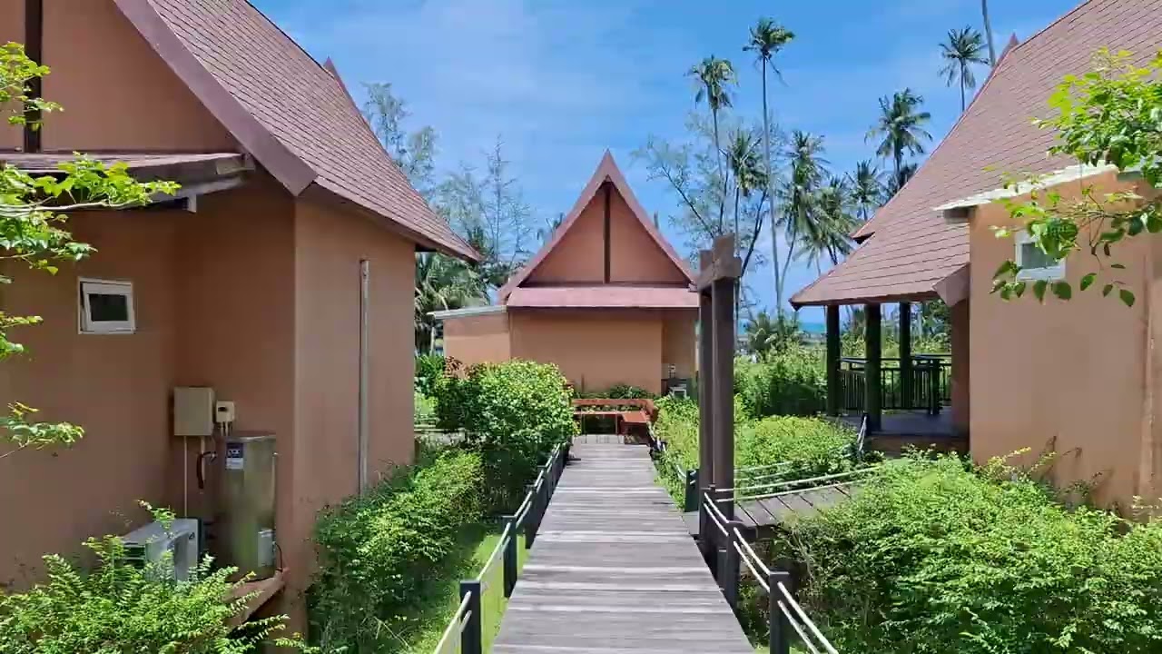 🎵 Koh Kood Vibes - Thailand