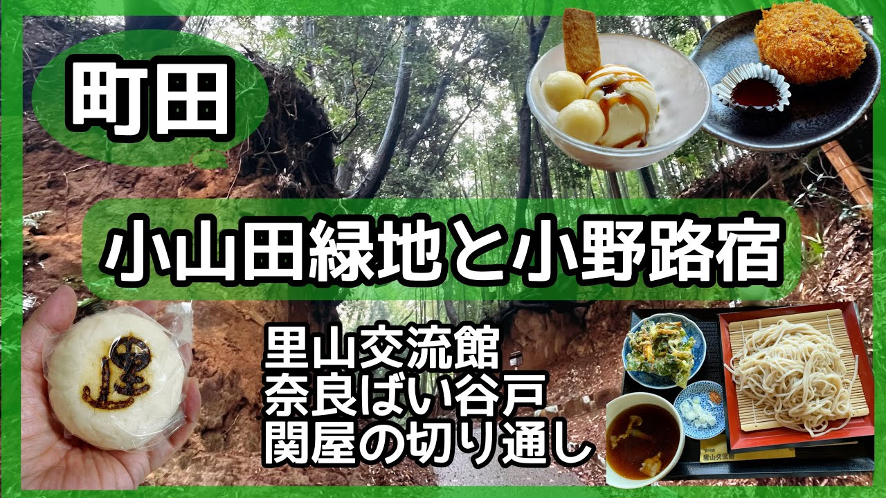 【町田】小山田緑地と小野路宿を歩く✨かつて大山詣りで賑わった宿場町♪
