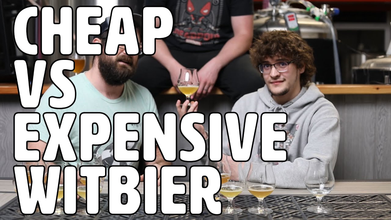 Blind Tasting Cheap Vs Expensive Witbier | Is More Expensive Worth It?