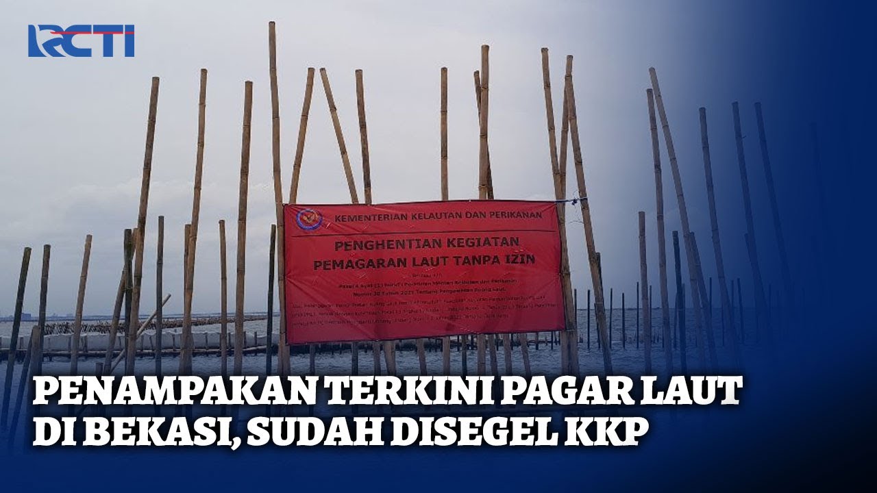 Pagar Laut Bambu di Bekasi Disegel KKP Karena Langgar Hukum - SIP 16/01
