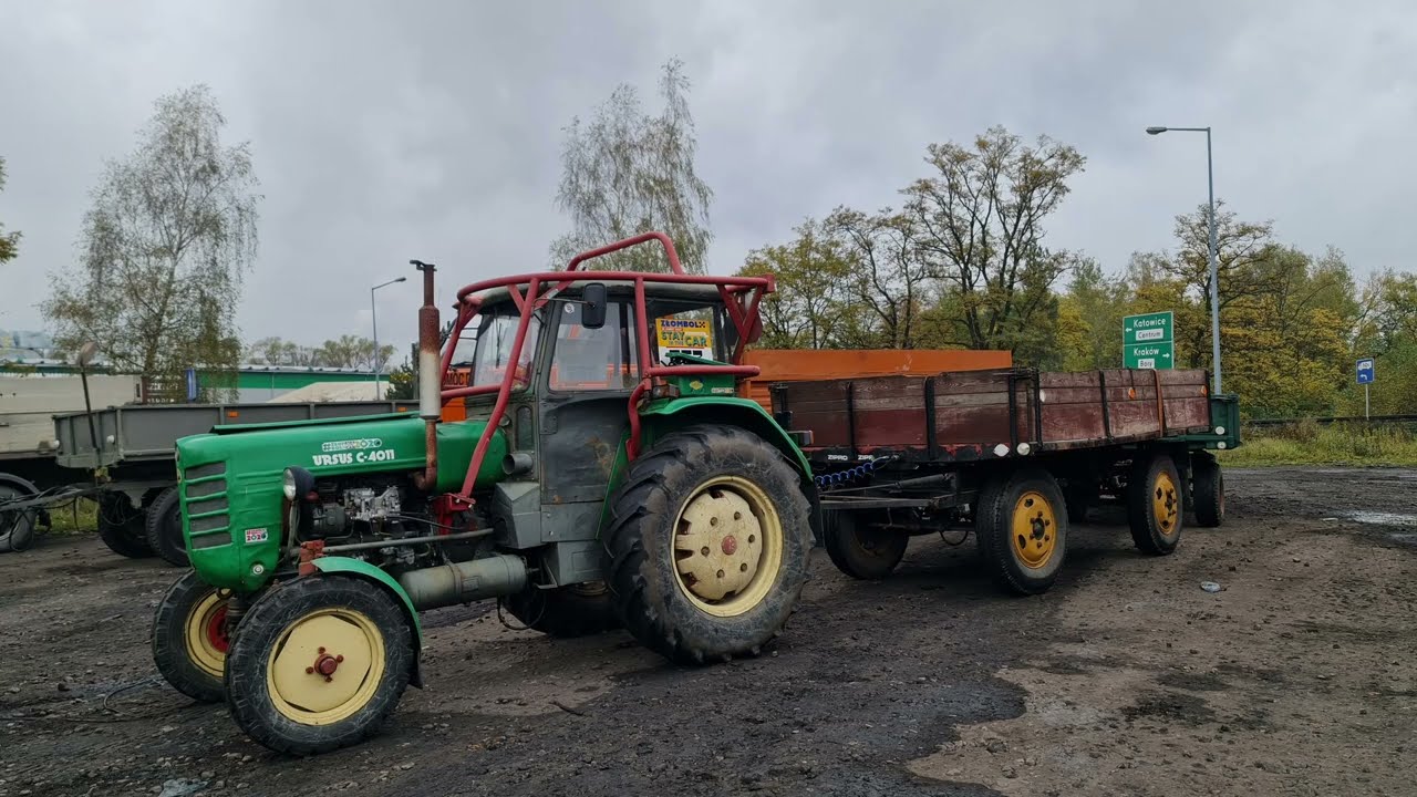 Ursus C-4011 w transporcie węgla.