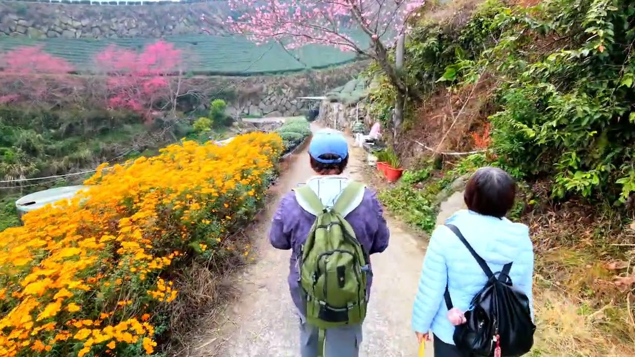 20260125 樟樹湖 Ing Cheng