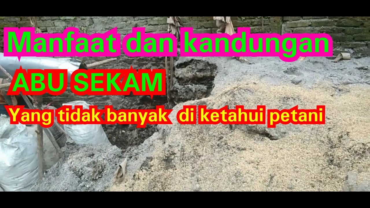 FUNGSI dan KANDUNGAN ABU SEKAM
