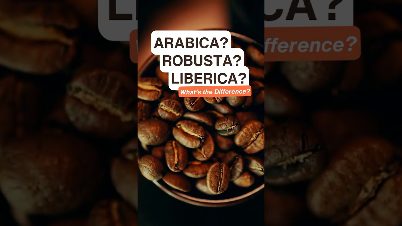 Types of Coffee Beans - 🫘 Arabica vs Robusta vs Liberica 🫘