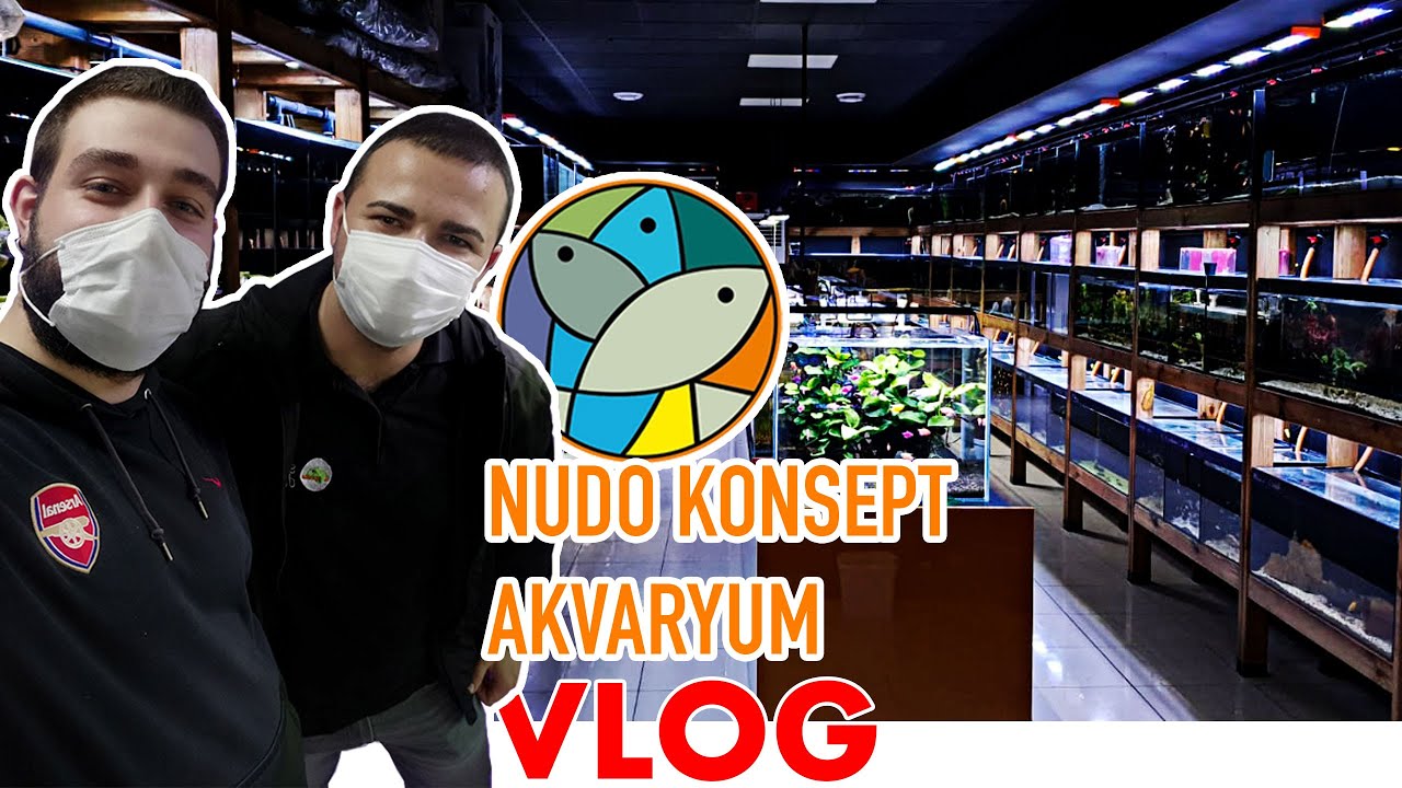Nudo Konsept Akvaryum Vlog - Ankara