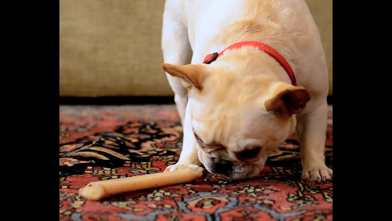 Talking Oriental Rug Gets Special Cleaning by Dalworth Rug Cleaning