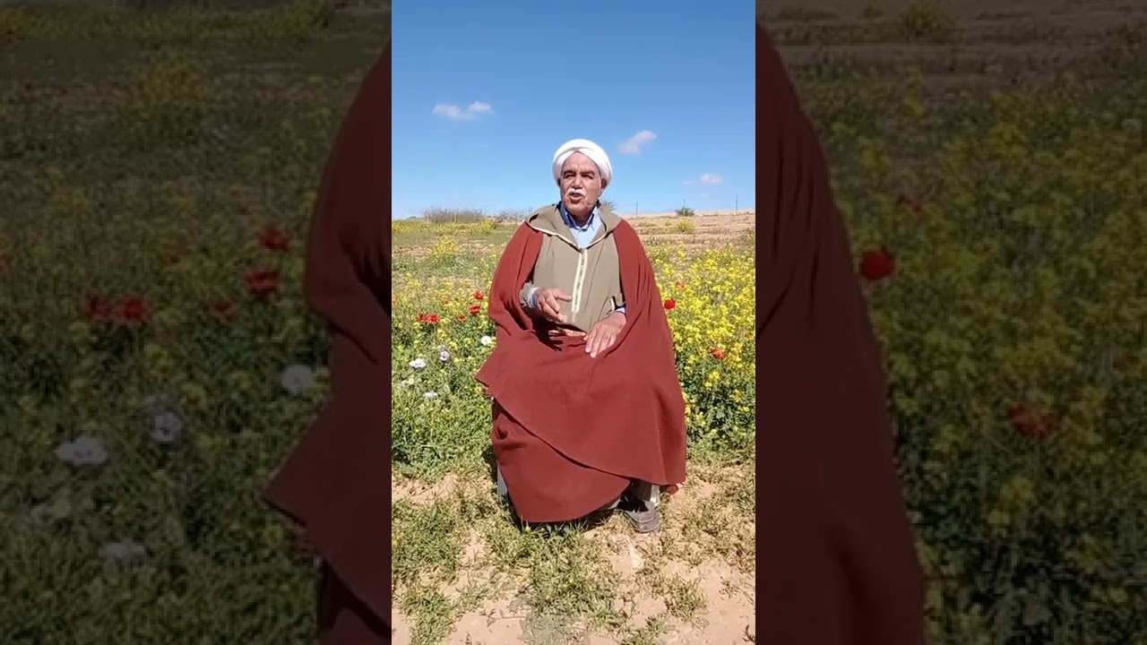 الشاعر قندوز قادة في قصيدة مانيش غالط في قولي الصح ينقال
