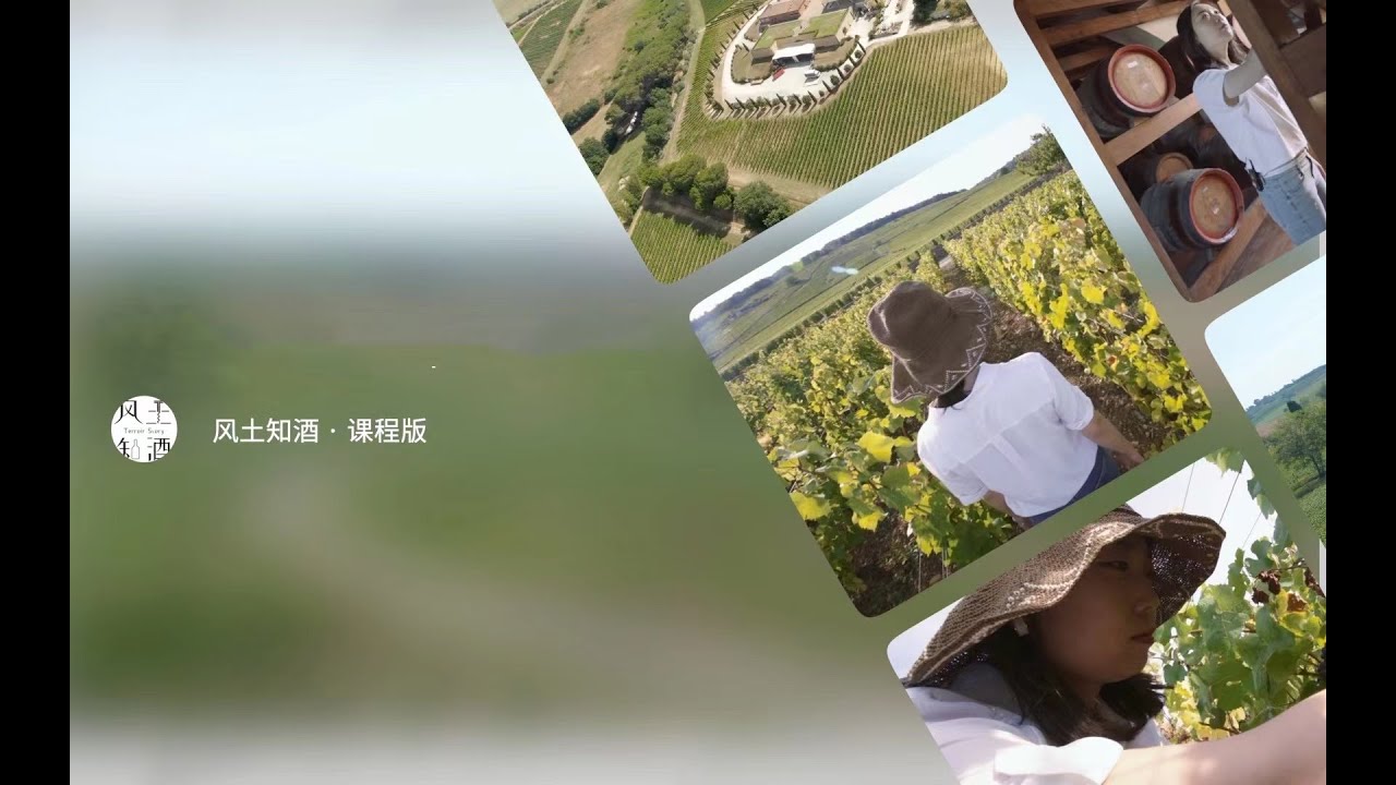 49 波尔多的中级庄