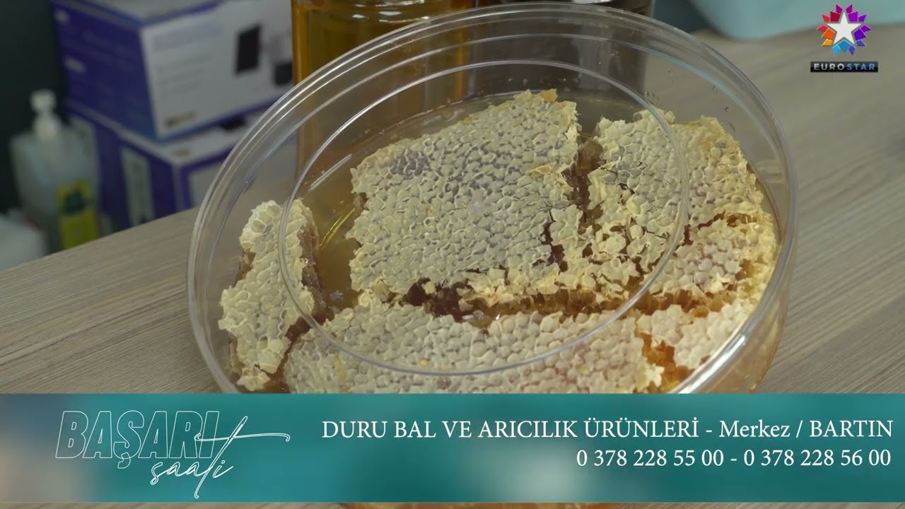 🍯🐝 DOĞAL KESTANE BALI ÜRETİMİ! DURU BAL VE ARICILIK ÜRÜNLERİ 🌿✨