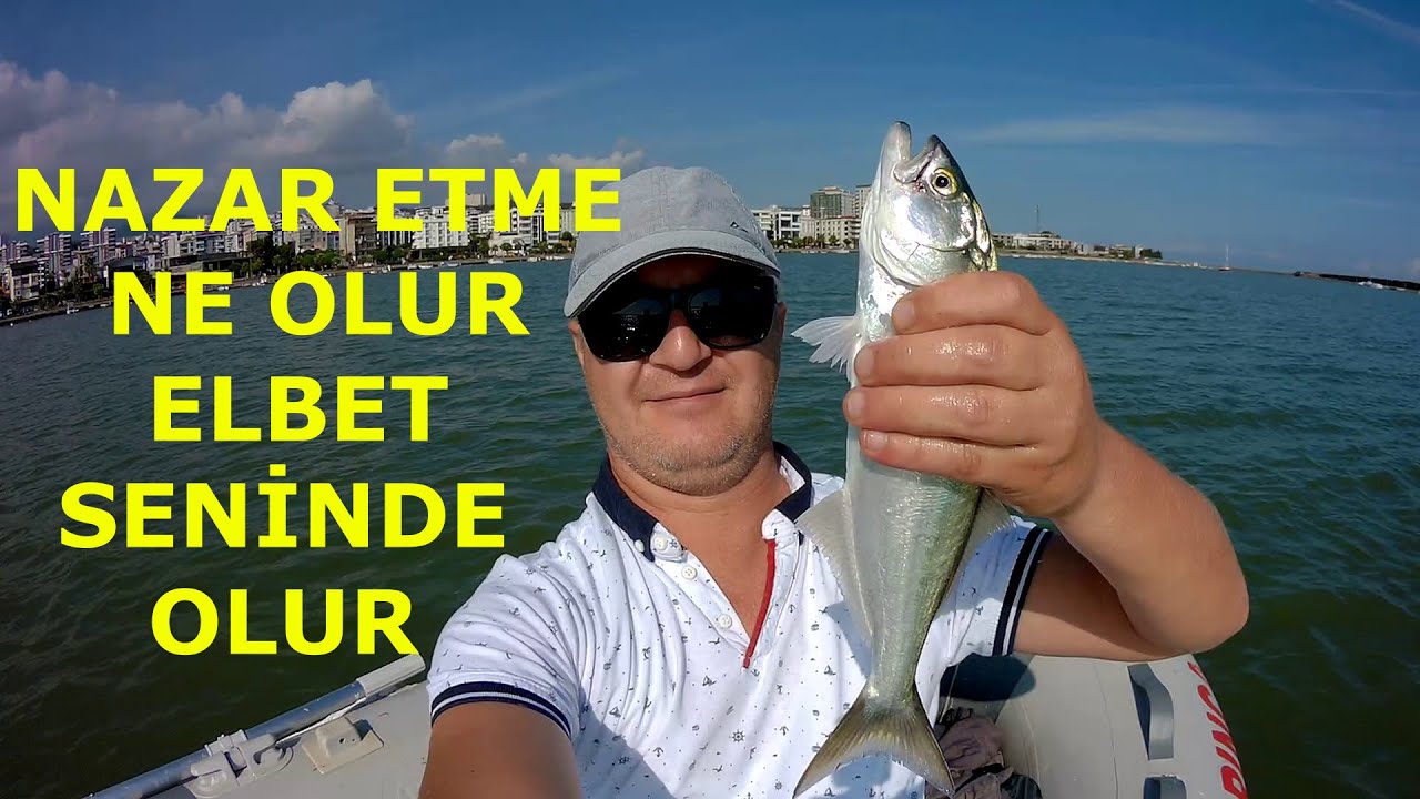 CANLI ZARGANA İLE LÜFER AVI #1
