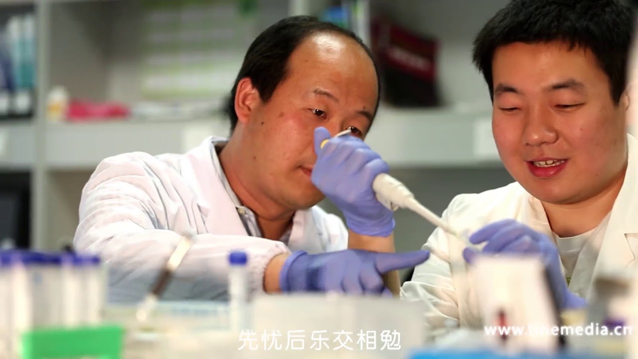 复旦大学校歌 MV &mdash; FDU 复旦人