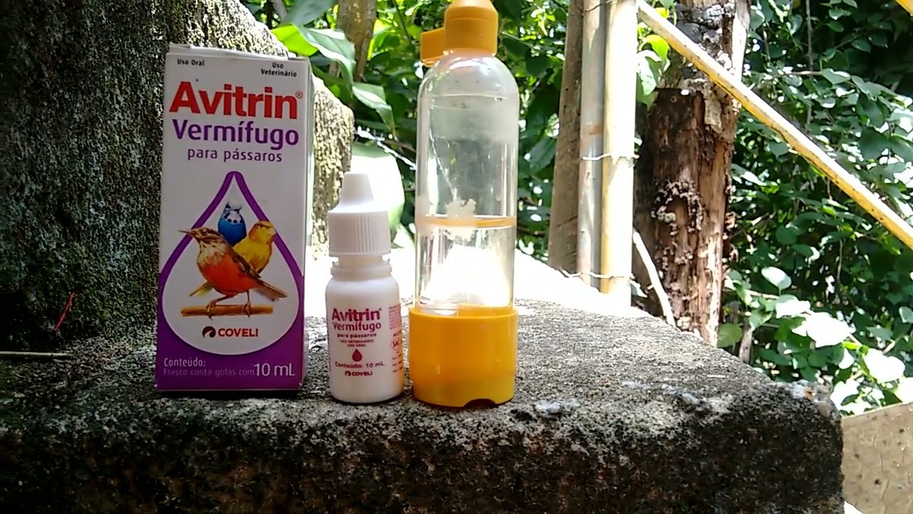 Como fornecer Avitrin Vermífugo