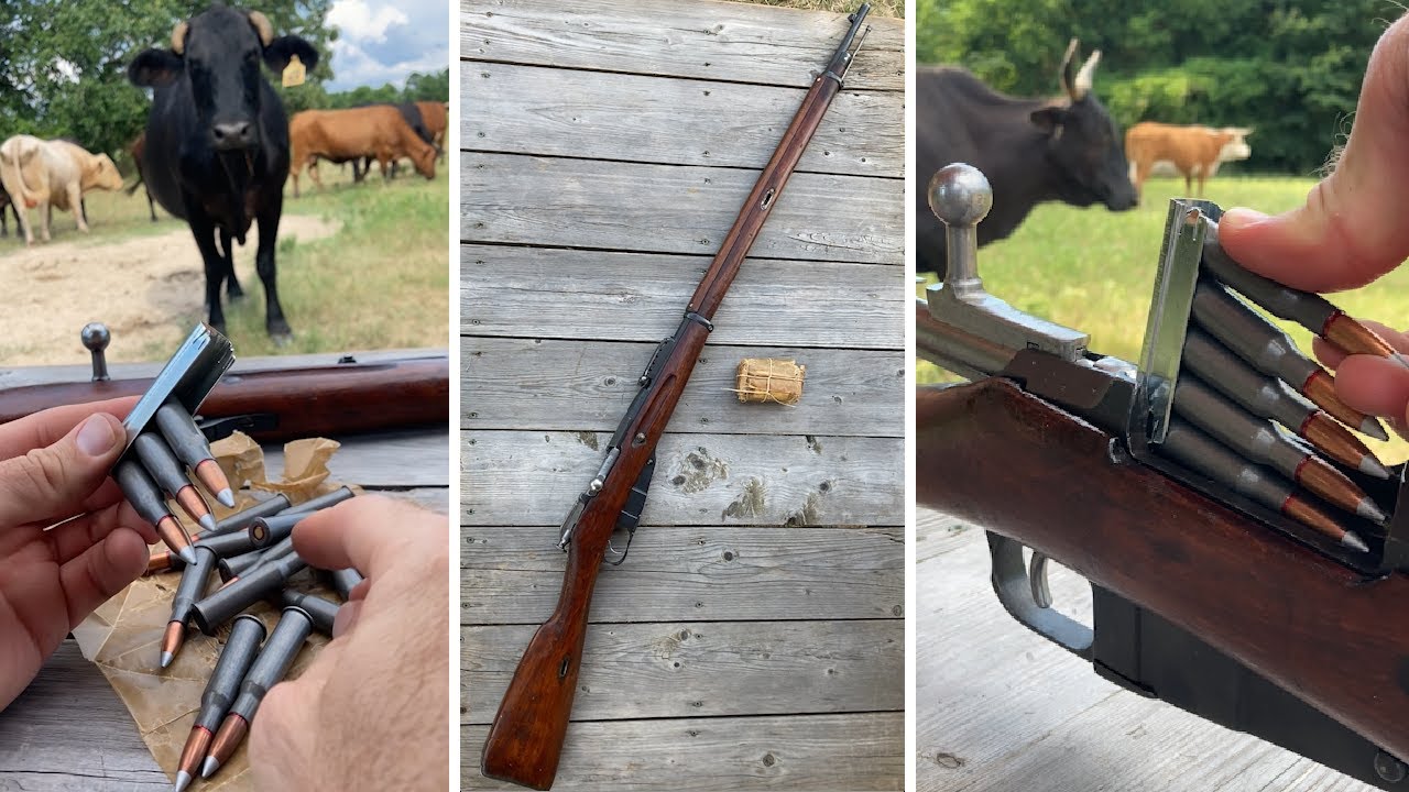 M1891 Mosin