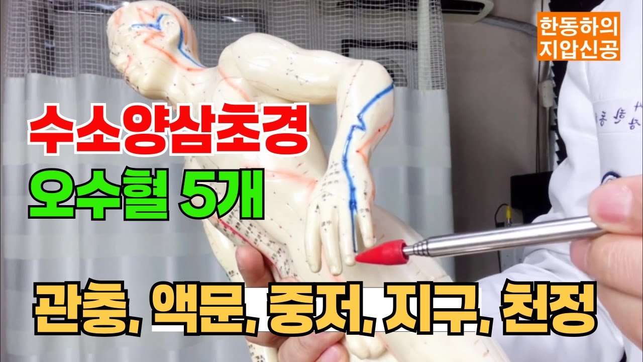 수소양삼초경의 오수혈 : 관충, 액문, 중저, 지구, 천정 [지압신공]