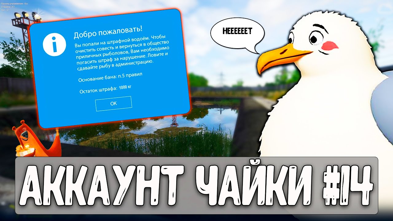 Чайку жестко наказали и отправили на штрафной пруд  #рр4