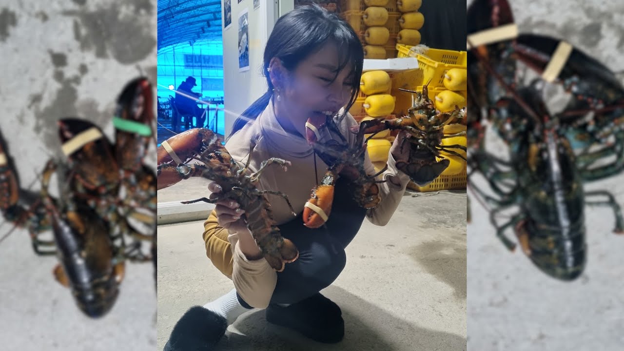 고오급 재료를 낚아서 안주로 먹어보자!!