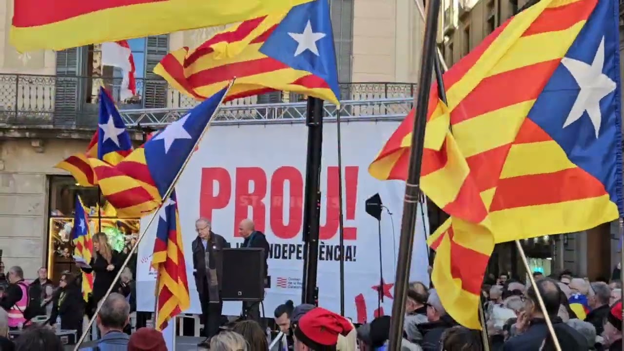Resum Manifestació 7 2 26