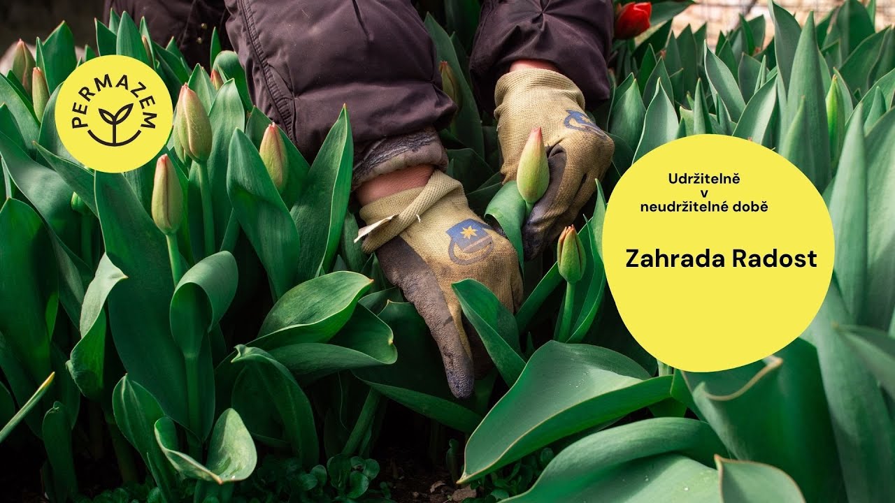 Udržitelně v neudržitelné době, květinová farma Zahrada Radost
