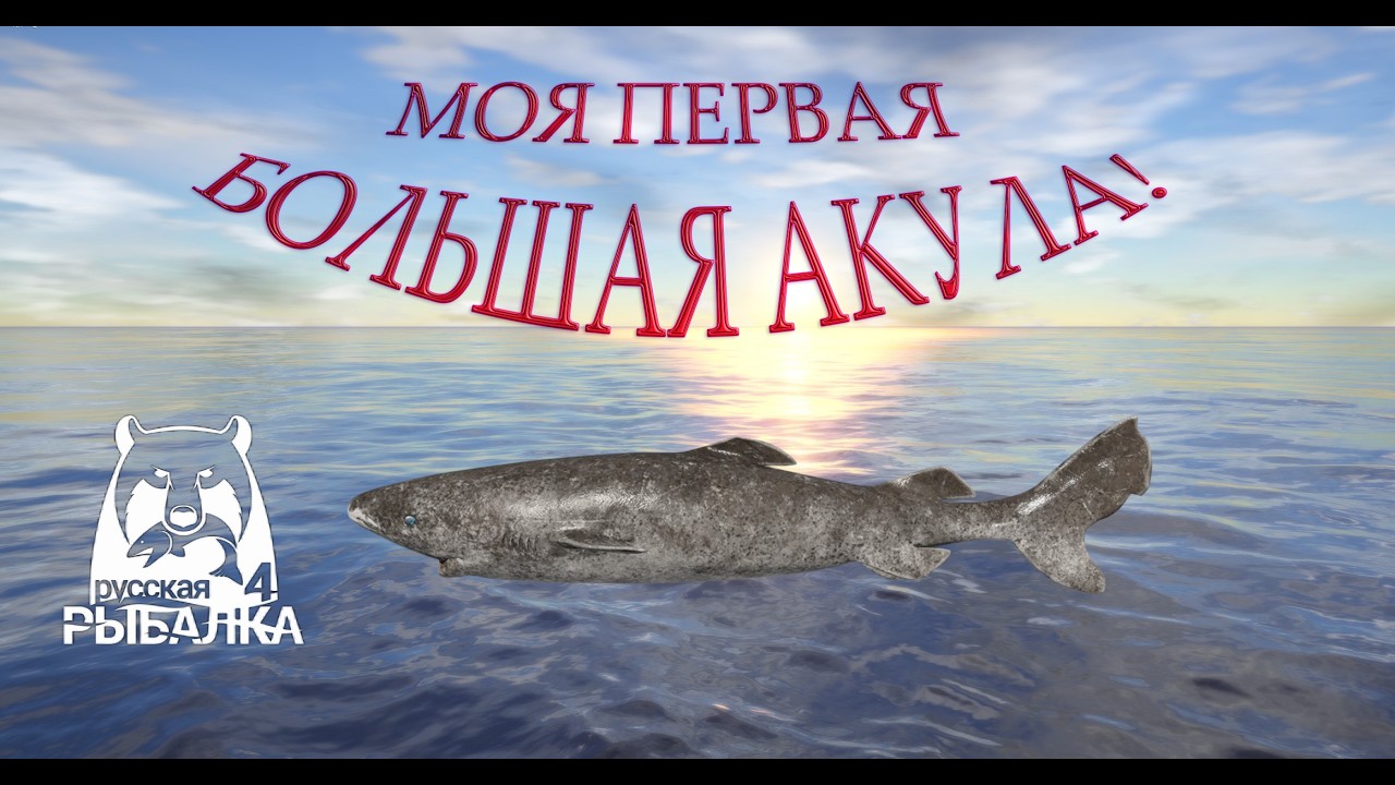 АКУЛА ГРЕНЛАНДСКАЯ ПОЛЯРНАЯ.МОЯ ПЕРВАЯ БОЛЬШАЯ АКУЛА!НОРВЕЖСКОЕ МОРЕ ► RUSSIAN FISHING 4