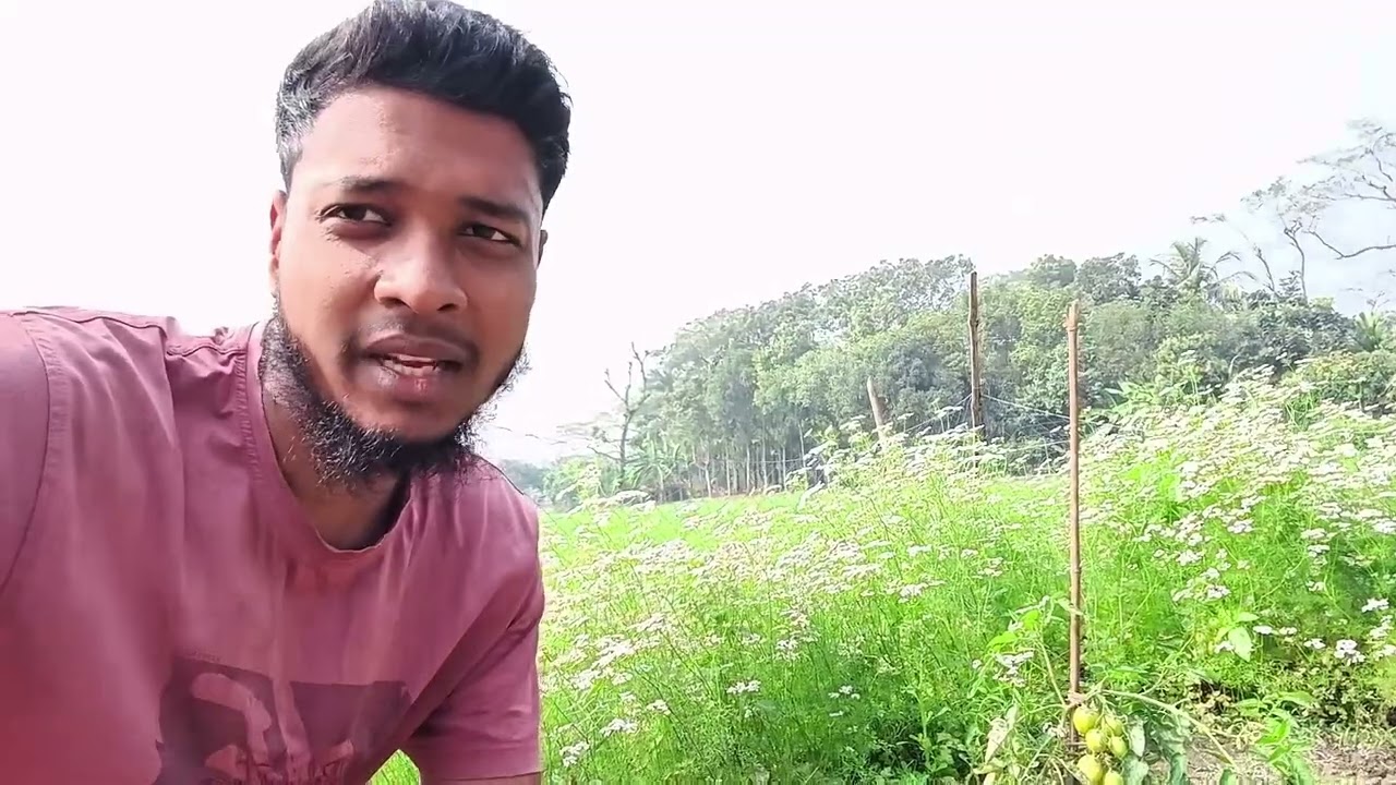 Agriculture Work in English | Easy English Speaking Practice | Video 16