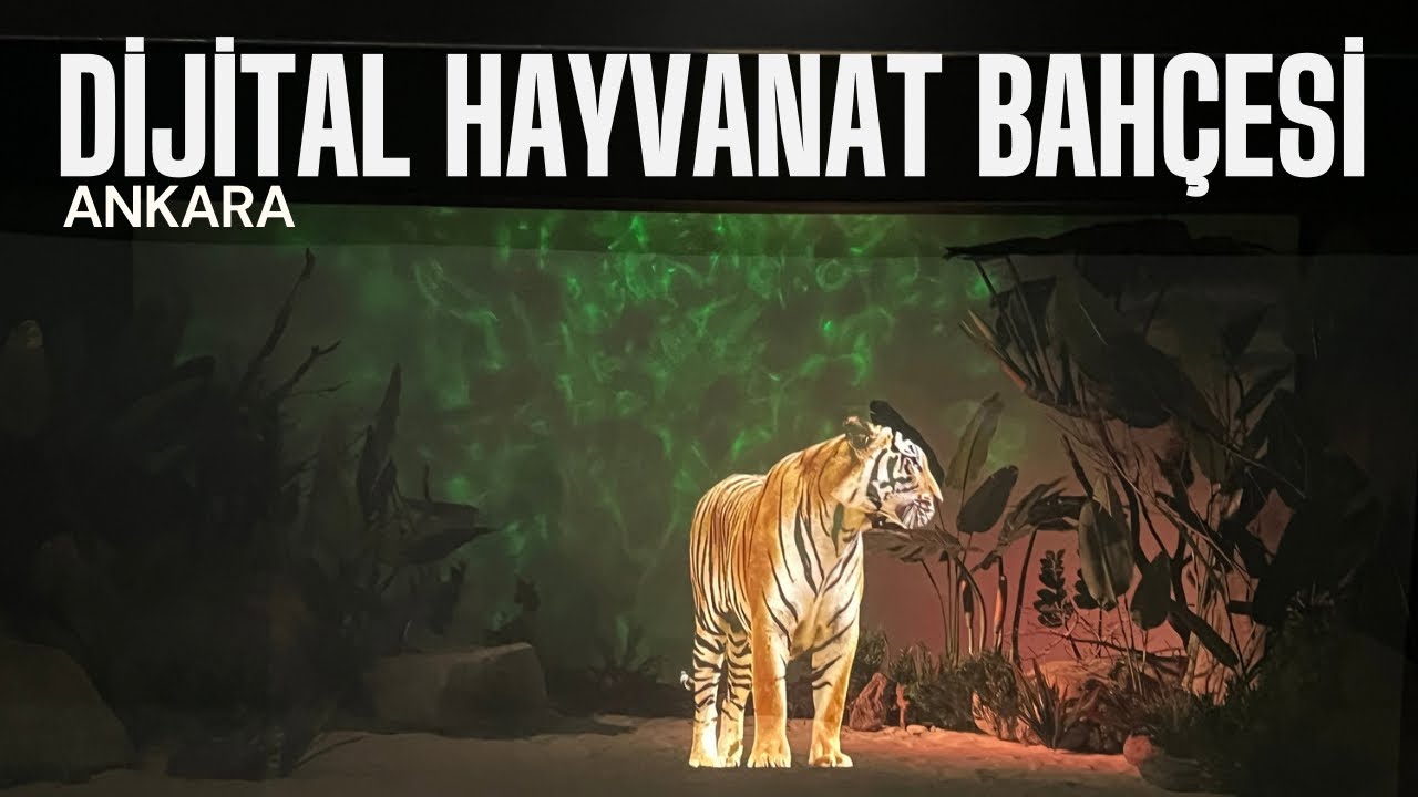 Ankara Dijital Hayvanat Bahçesi, Ahmet Aslan ve Asel Eğlencede