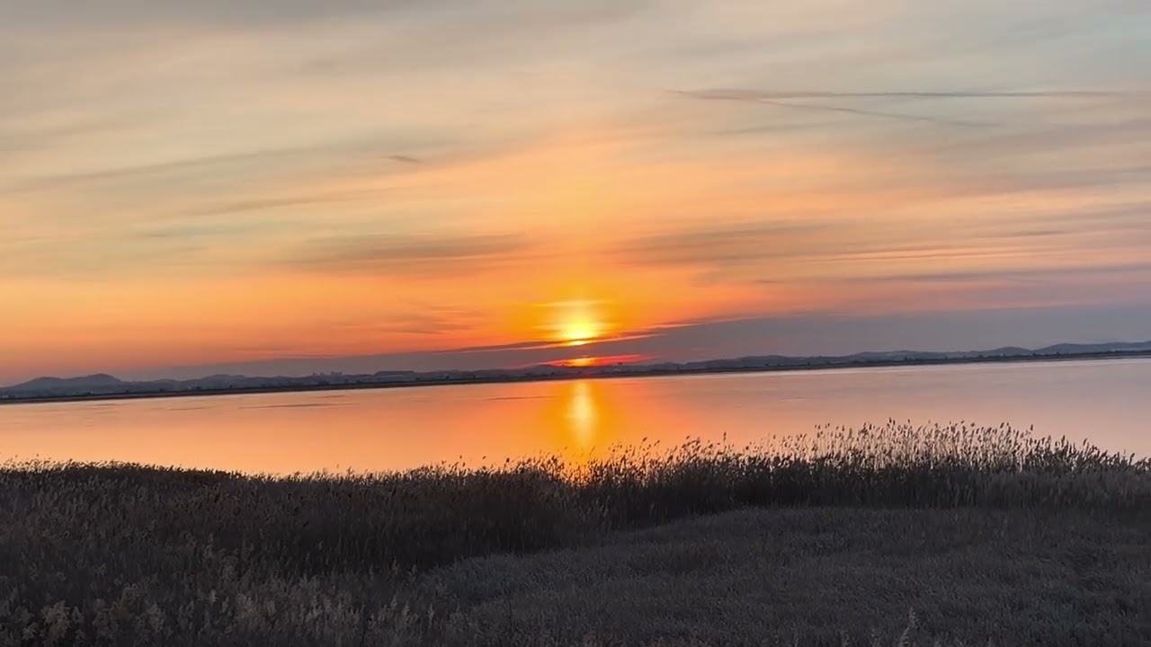 2026년 떠오르는 해❤️ 정기 받아가세요❤️