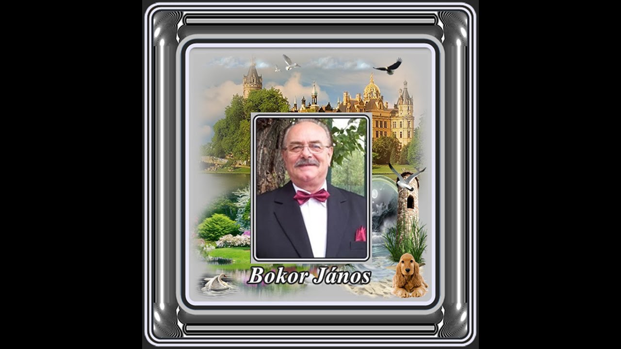 Bokor János : Kimegyek a temetőbe