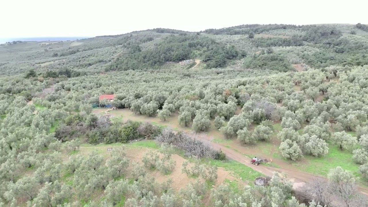 Mudanya Trilyede asfalta cephe 8.5 dönüm arazi