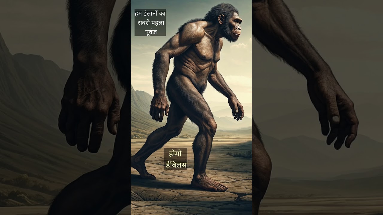Homo Habilis | Handy man | #shorts #endlessnature