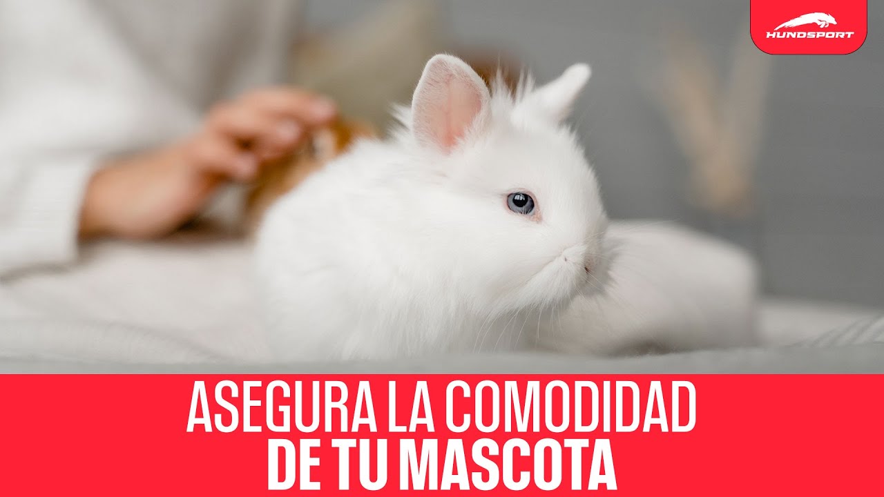 Conoce el sustrato Kaytee Clean & Cozy | Material de cama Kaytee para conejos 🐰