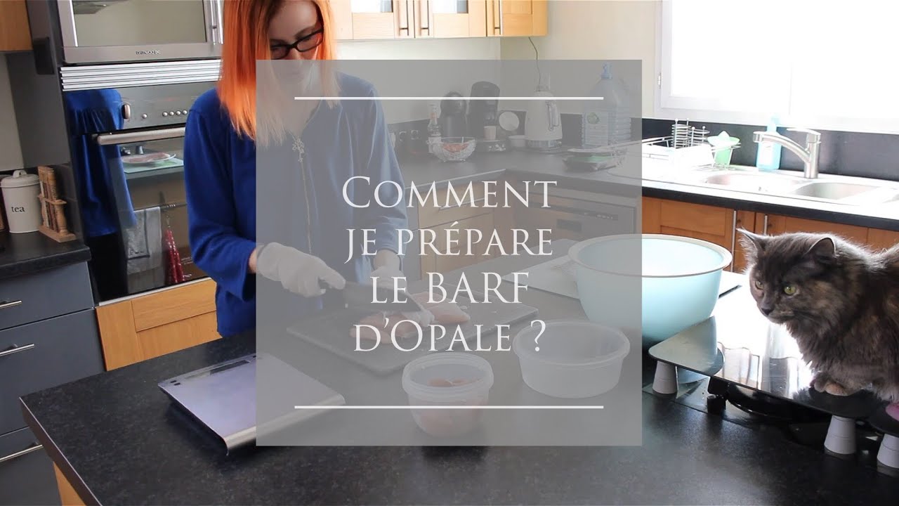 Comment je prépare les rations BARF d'Opale ?