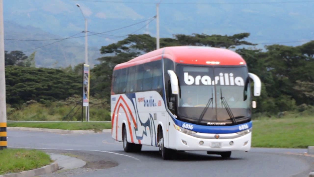 BUSES DE COLOMBIA IV 2017
