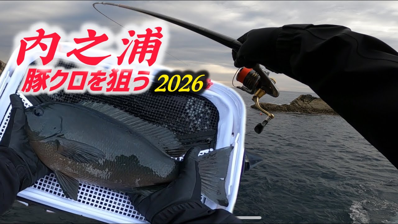 【クロ釣り】内之浦産！最高の豚クロを狙う！