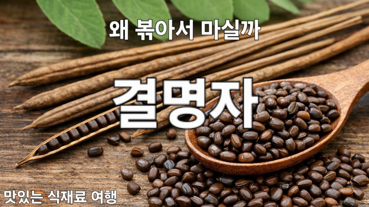 🌿🍵 결명자 — 왜 오래 차로 마셨을까, 작은 씨앗이 식탁에 남은 이유