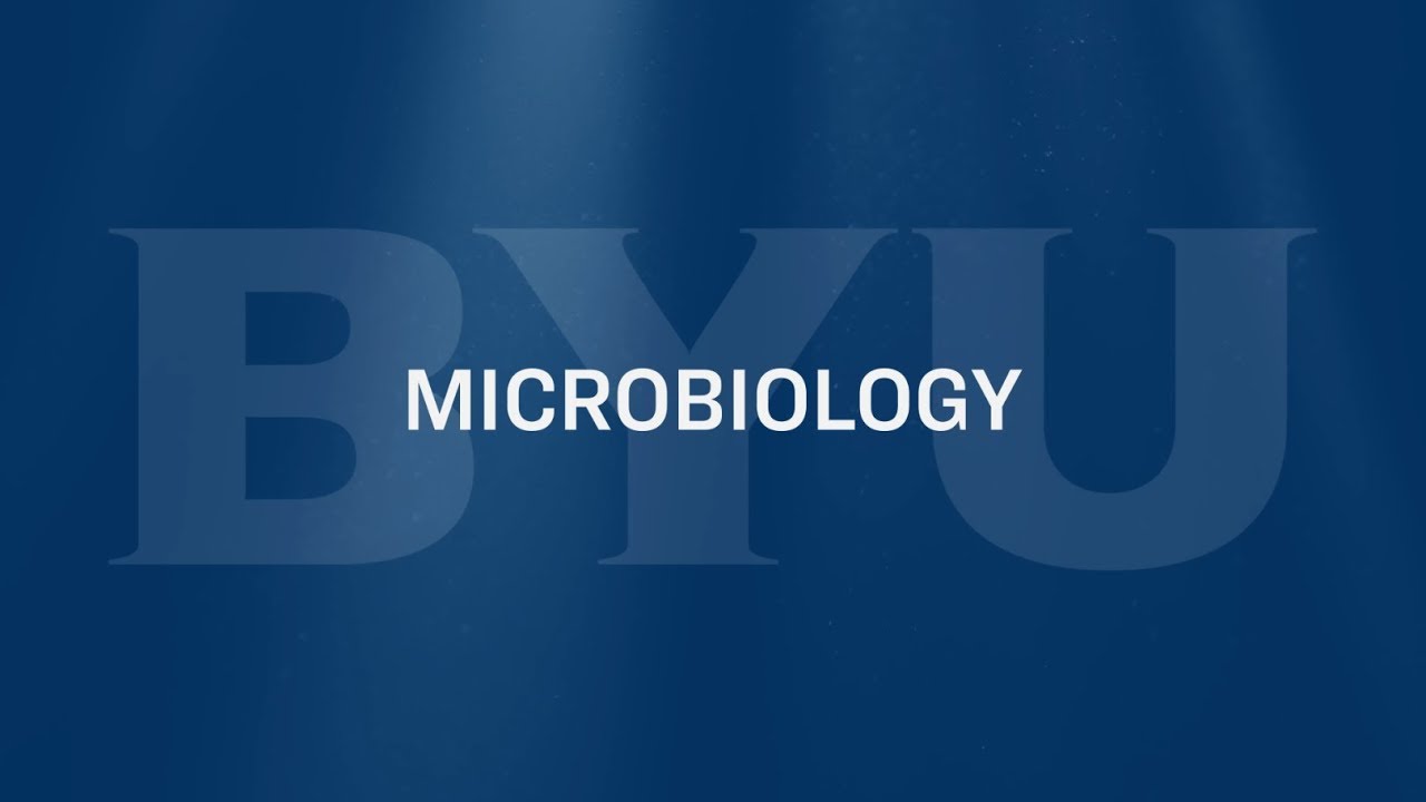 Фрагмент, относящийся к специальности «Микробиология»