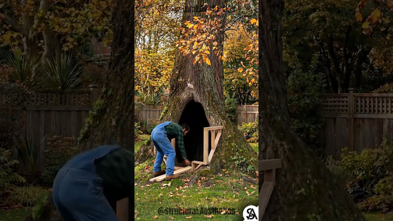 Building a Backyard Shed Inside a Tree Trunk #diy #satisfying #asmr