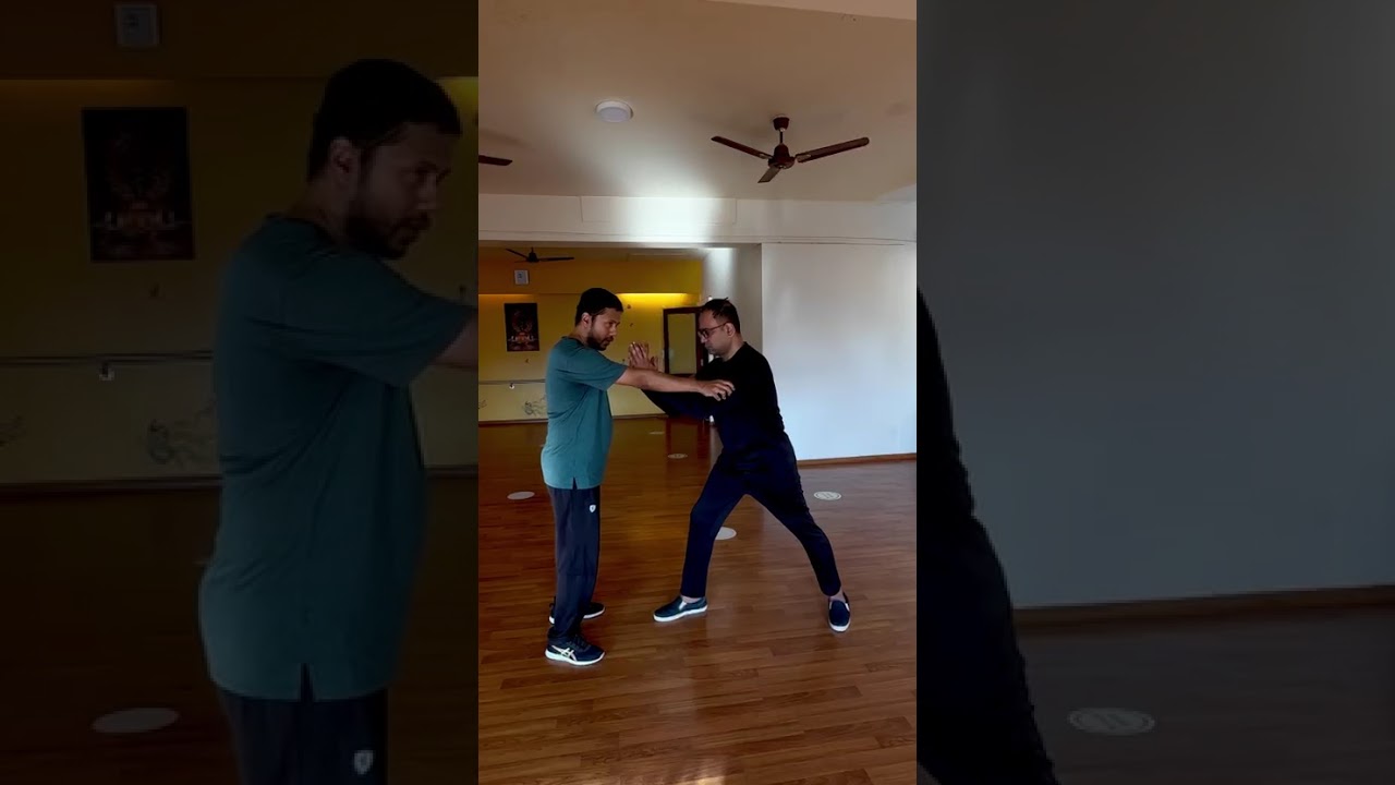 Opening Form (Tai Chi Qi Shi)