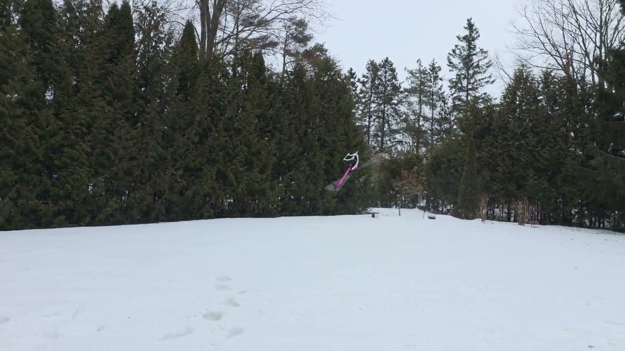 Goosky RS6,  Backyard maiden flight