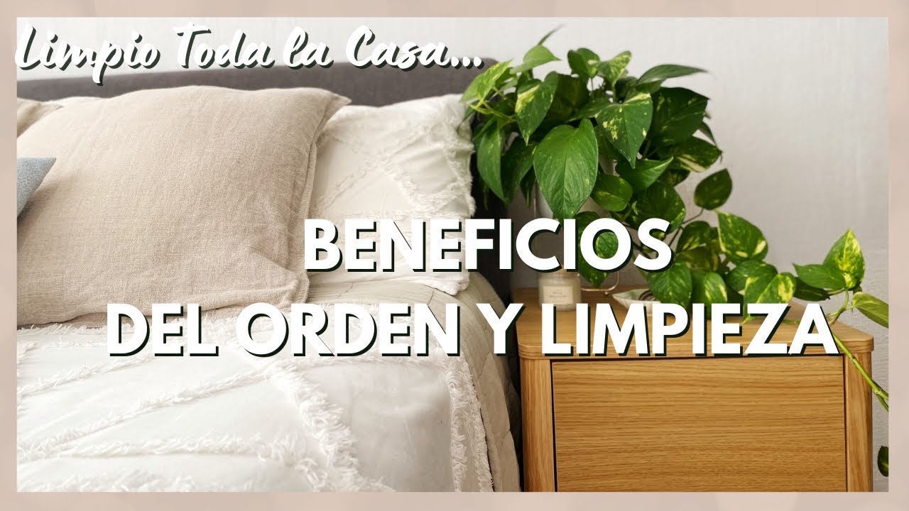¿Qué Beneficios tiene limpiar la casa ?🌻 🍃| 6 Razones para limpiar y ordenar el Hogar | Heidi